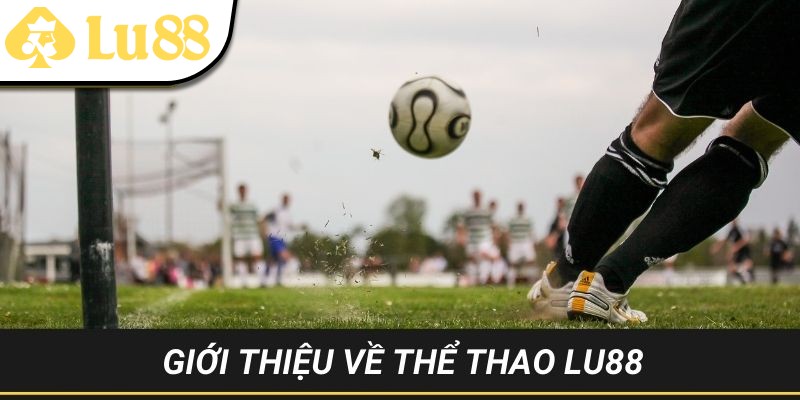 Giải mã sức hút của sảnh thể thao LU88 đem tới