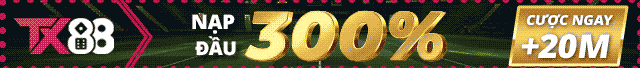 tx88 banner footer